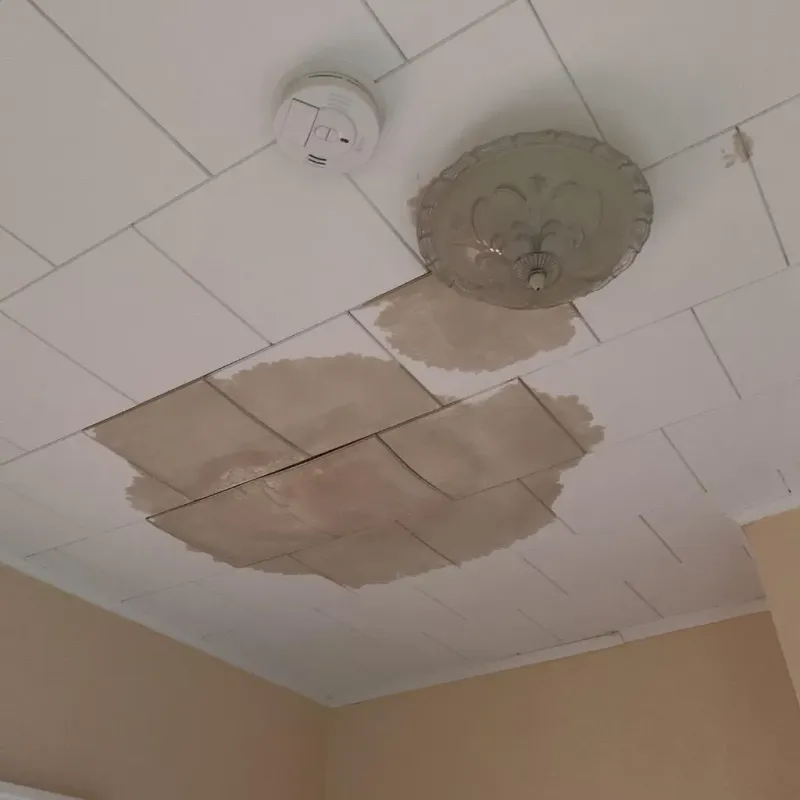 Ceiling Water Damage Repair in Mishawaka, IN
